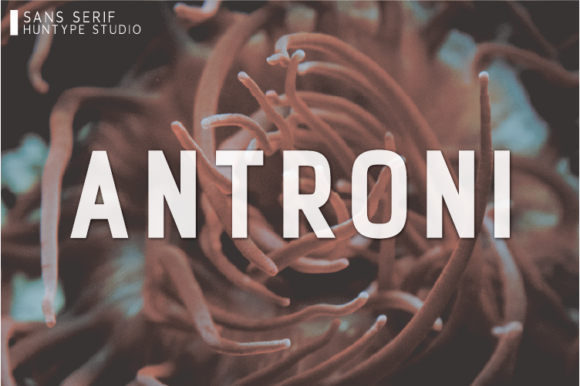 Antroni Font: A Bold and Neat Sans Serif for Creative Projects
