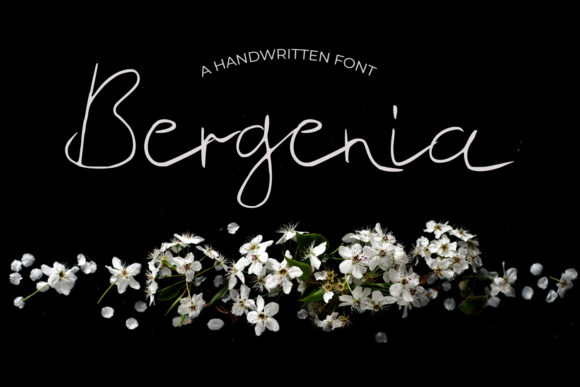 Bergenia: A Handwritten Font for Creative Expression