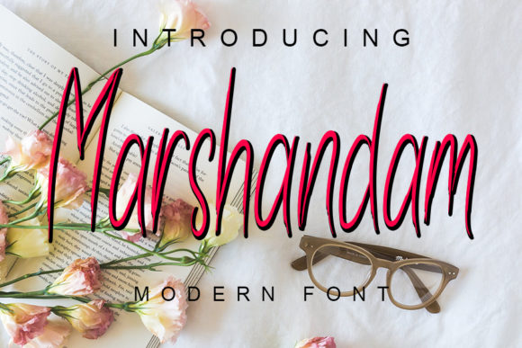 Discover the Unique Charm of Marshandam Font