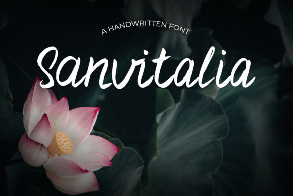 Sanvitalia: A Strategic Tool for Personalized Design and Communication