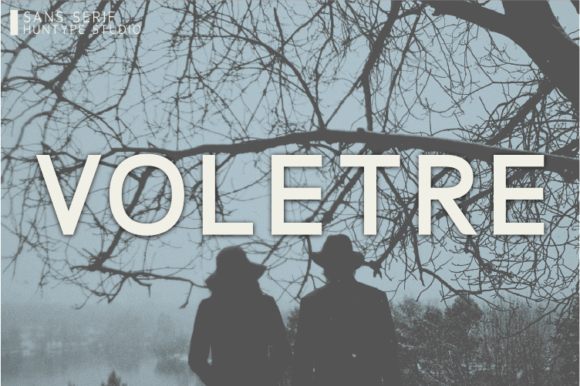 Voletre: A Bold and Simple Sans Serif Font for Modern Design